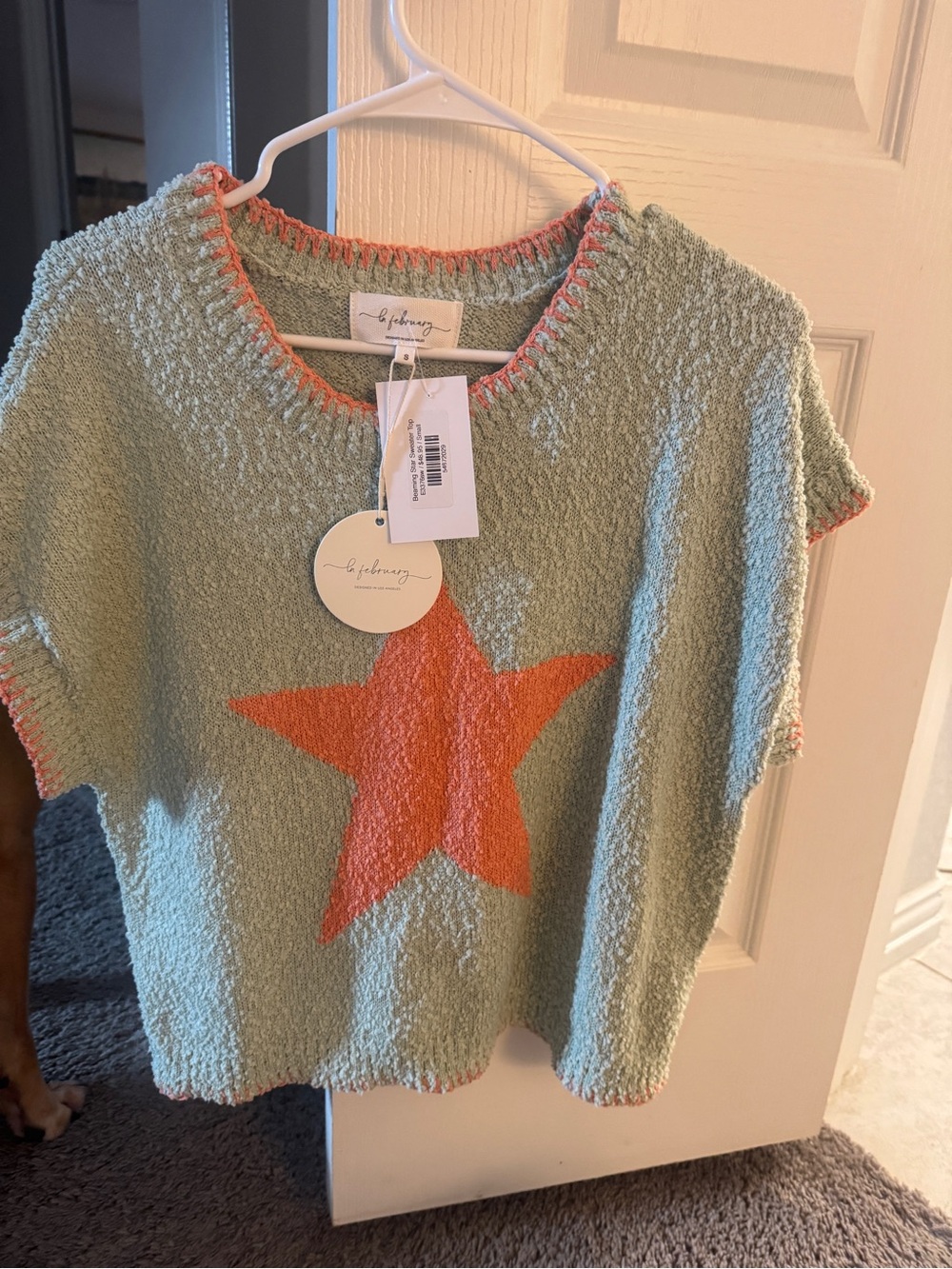 Sole Society Seafoam Green Short-Sleeve Knit Sweater with Coral Star